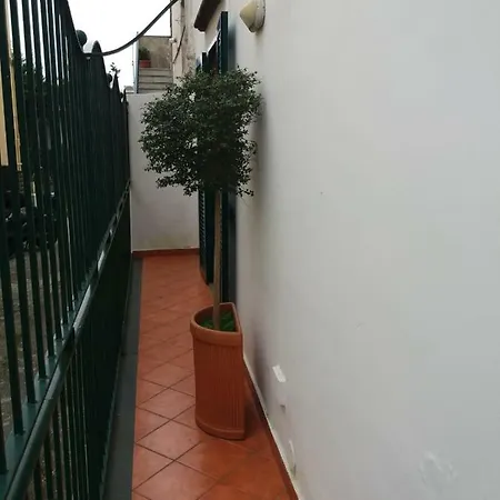 Casetta Iacono Aenaria *